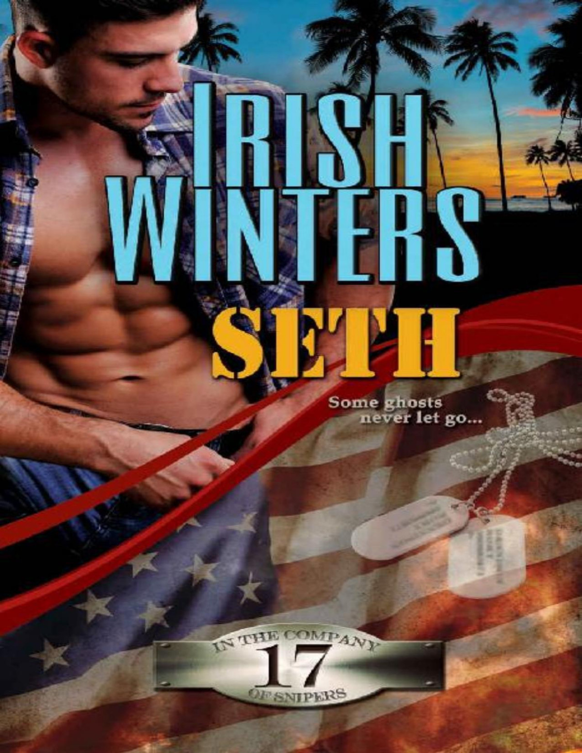 Seth In The Company Of Snipers Book 17 Irish Winters