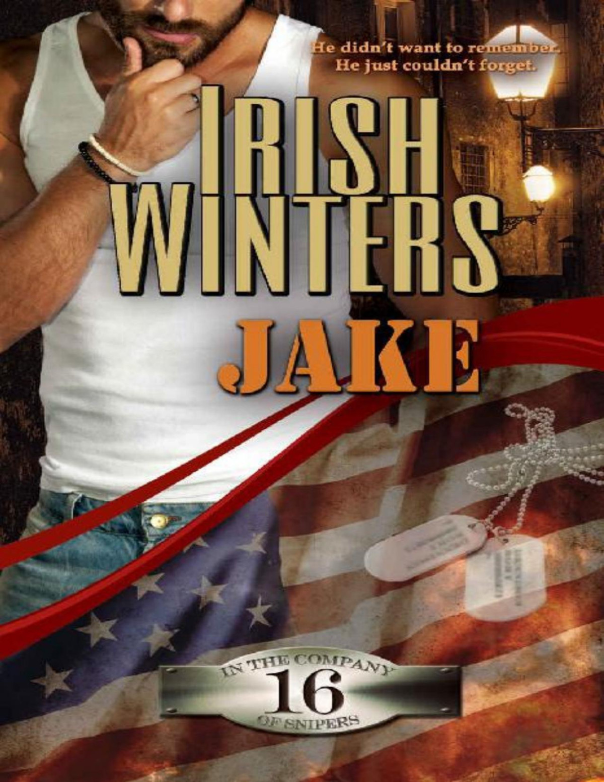 Jake In The Company Of Snipers Book 16 Irish Winters