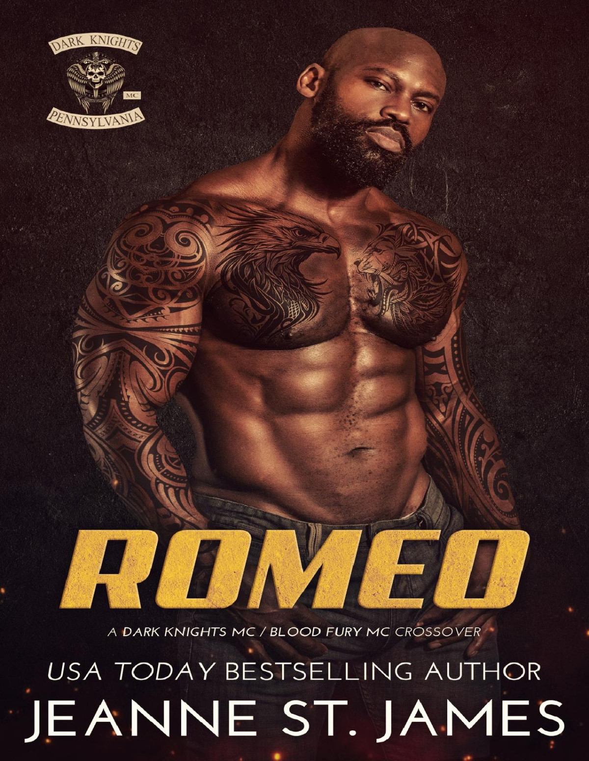 Romeo A Dark Knights Mcblood Fury Mc Crossover Jeanne St James