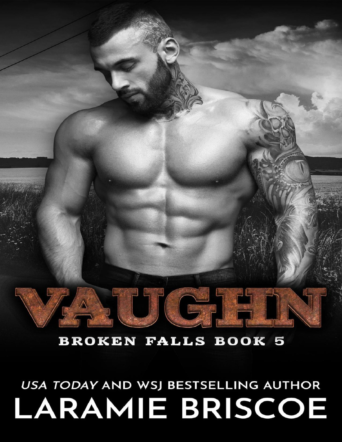 Vaughn Broken Falls Book 5 Laramie Briscoe