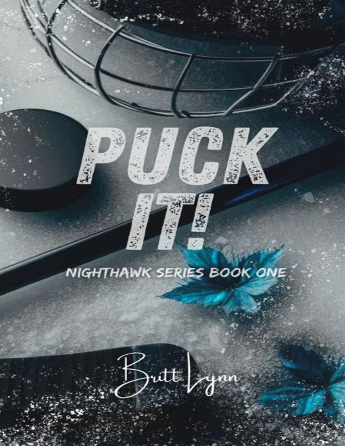 Puck It Nighthawk Series Book One Britt Lynn