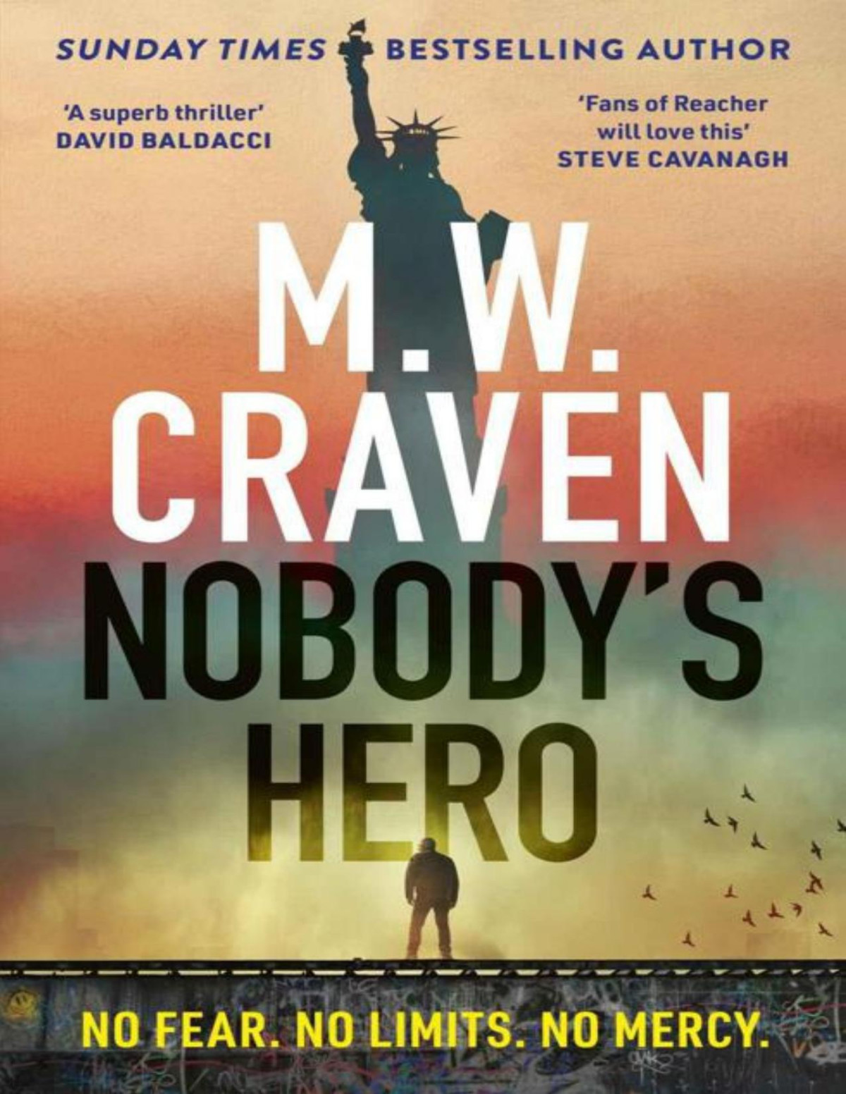 Nobodys Hero M W Craven