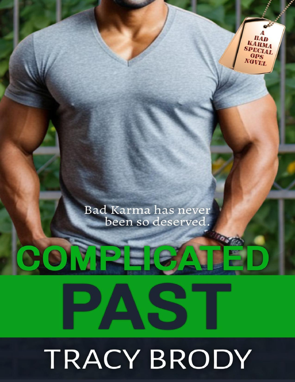 Complicated Past A Second Chance Military Romance Tracy Brody