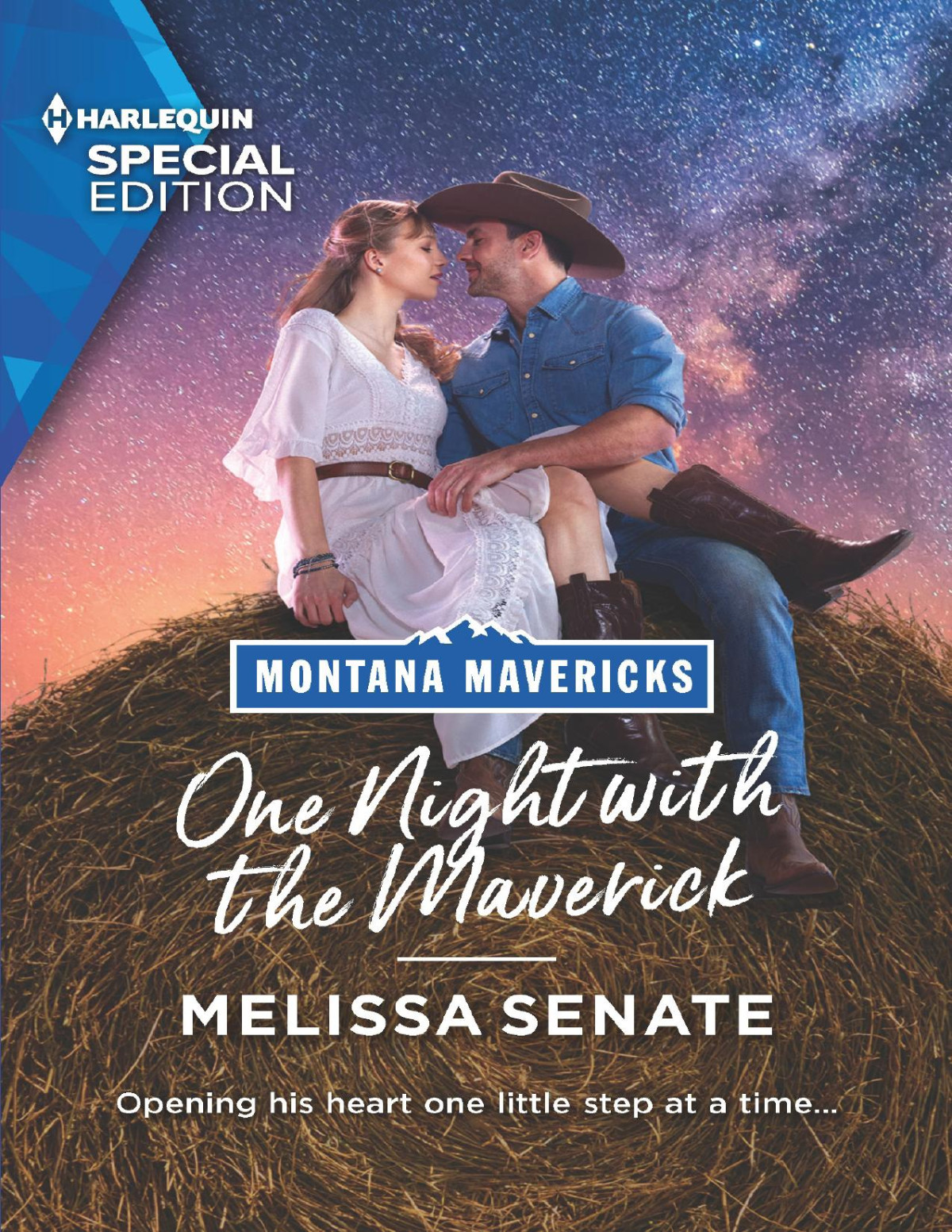 One Night With The Maverick Melissa Senate
