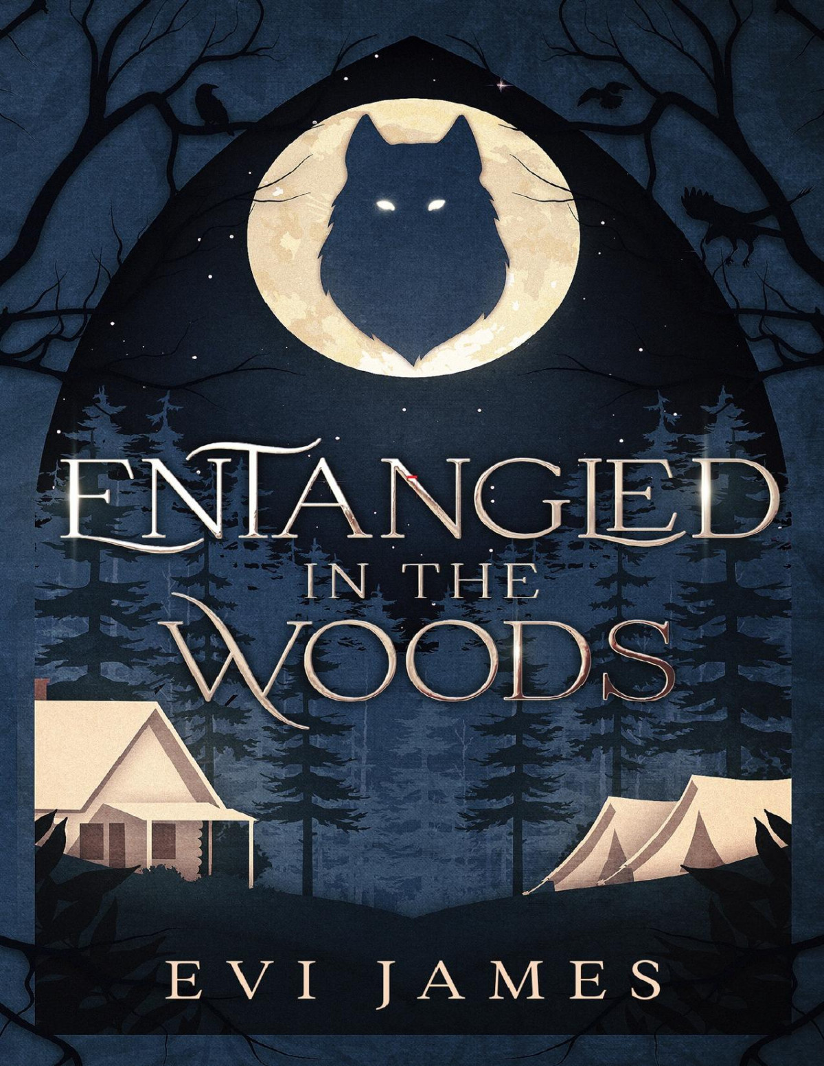 Entangled In The Woods The North Woods Book 1 Evi James