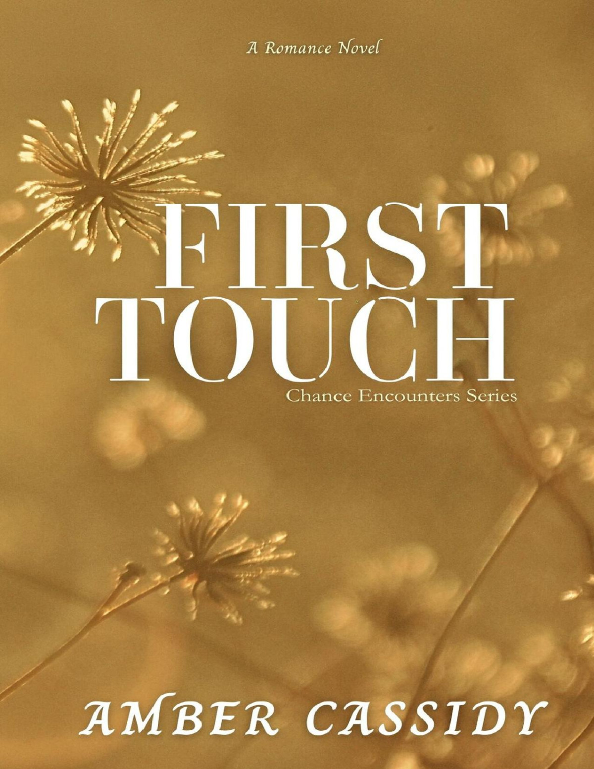 First Touch Chance Encounters Book 2 Amber Cassidy