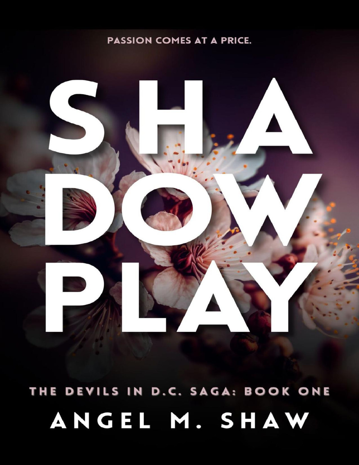 Shadowplay A Dark Billionaire Romantic Suspense The Devils In Dc Book 1 Shaw