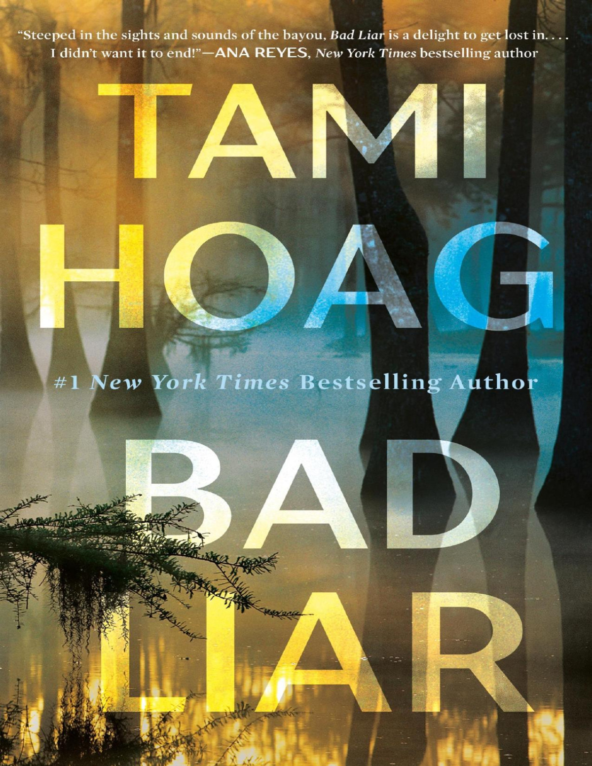Bad Liar Tami Hoag