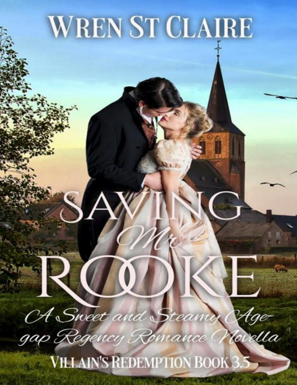 Saving Mr Rooke A Sweet And Steamy Agegap Regency Romance Novella The Villains Redemption Series Wren St Claire