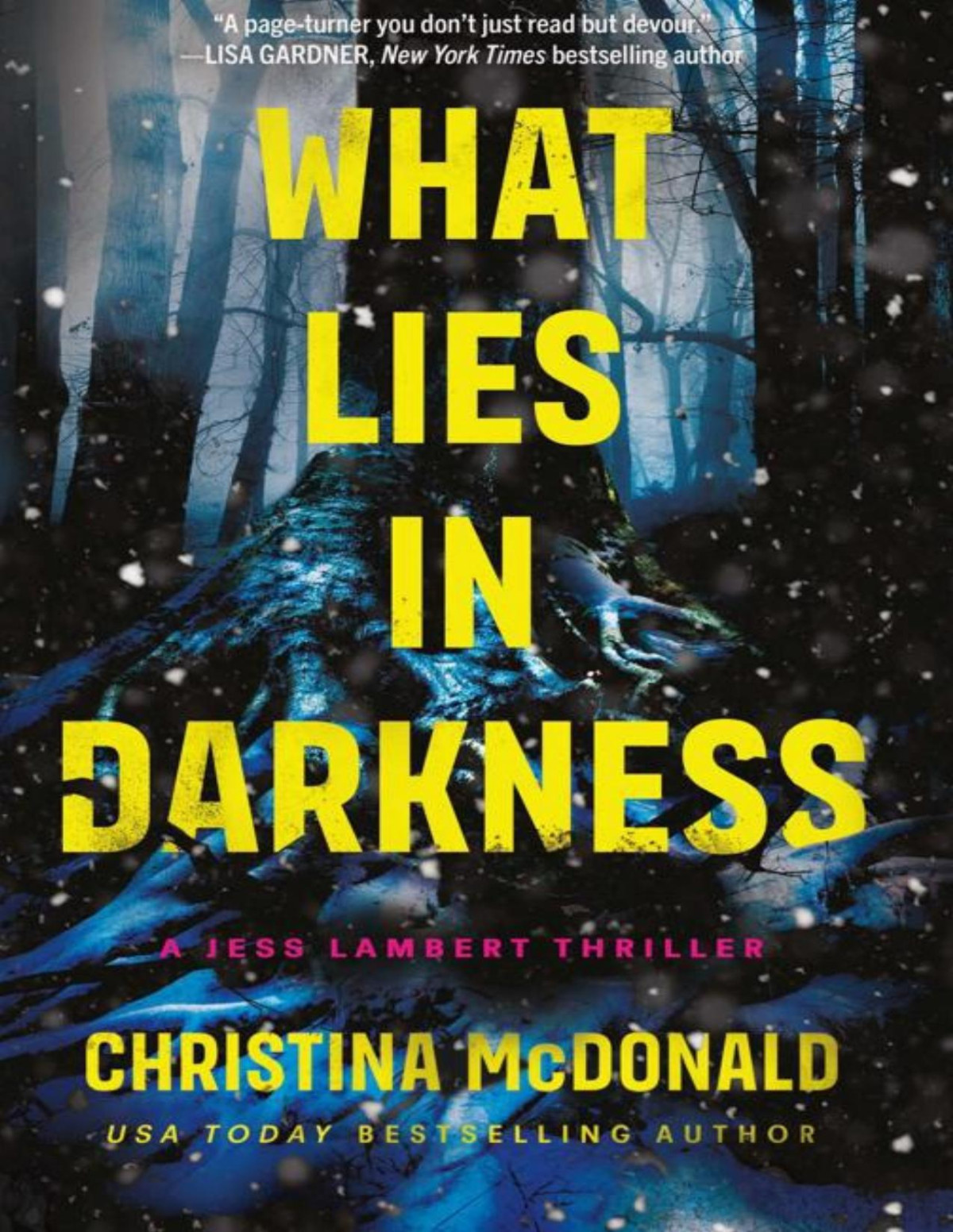 What Lies In Darkness Jess Lambert Christina Mcdonald