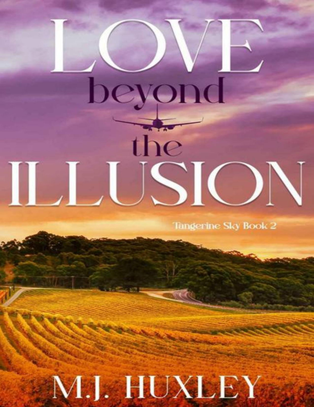 Love Beyond The Illusion Tangerine Sky 2 A Steamy Opposites Attract Accidental Marriage Romance Mj Huxley