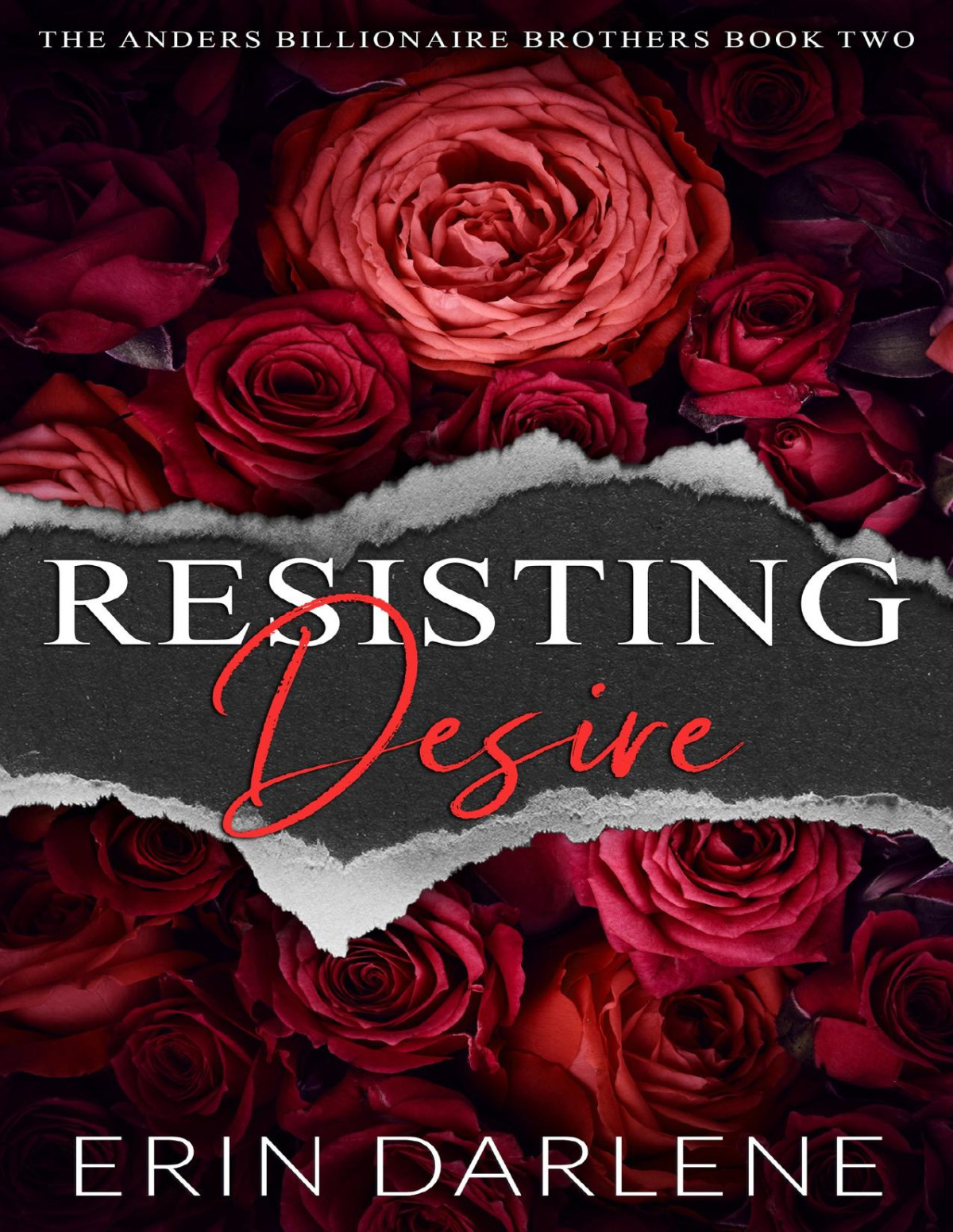 Resisting Desire A Billionaire Romantic Suspense The Anders Billionaire Brothers Erin Darlene