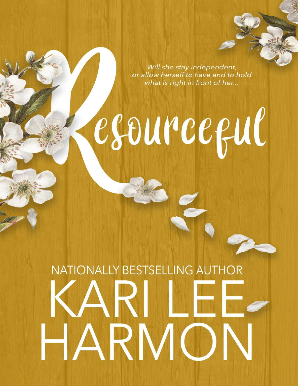 Resourceful Portrait Of A Woman Book 2 Kari Lee Harmon