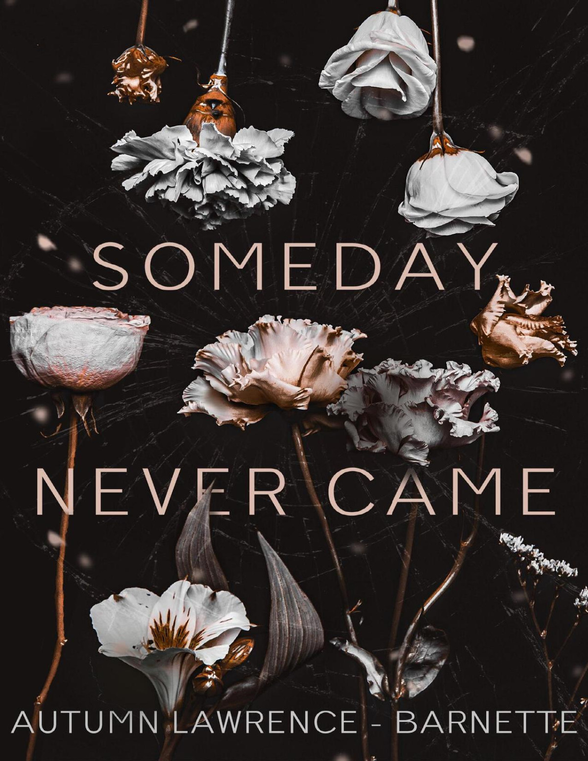 Someday Never Came Autumn Lawrencebarnette