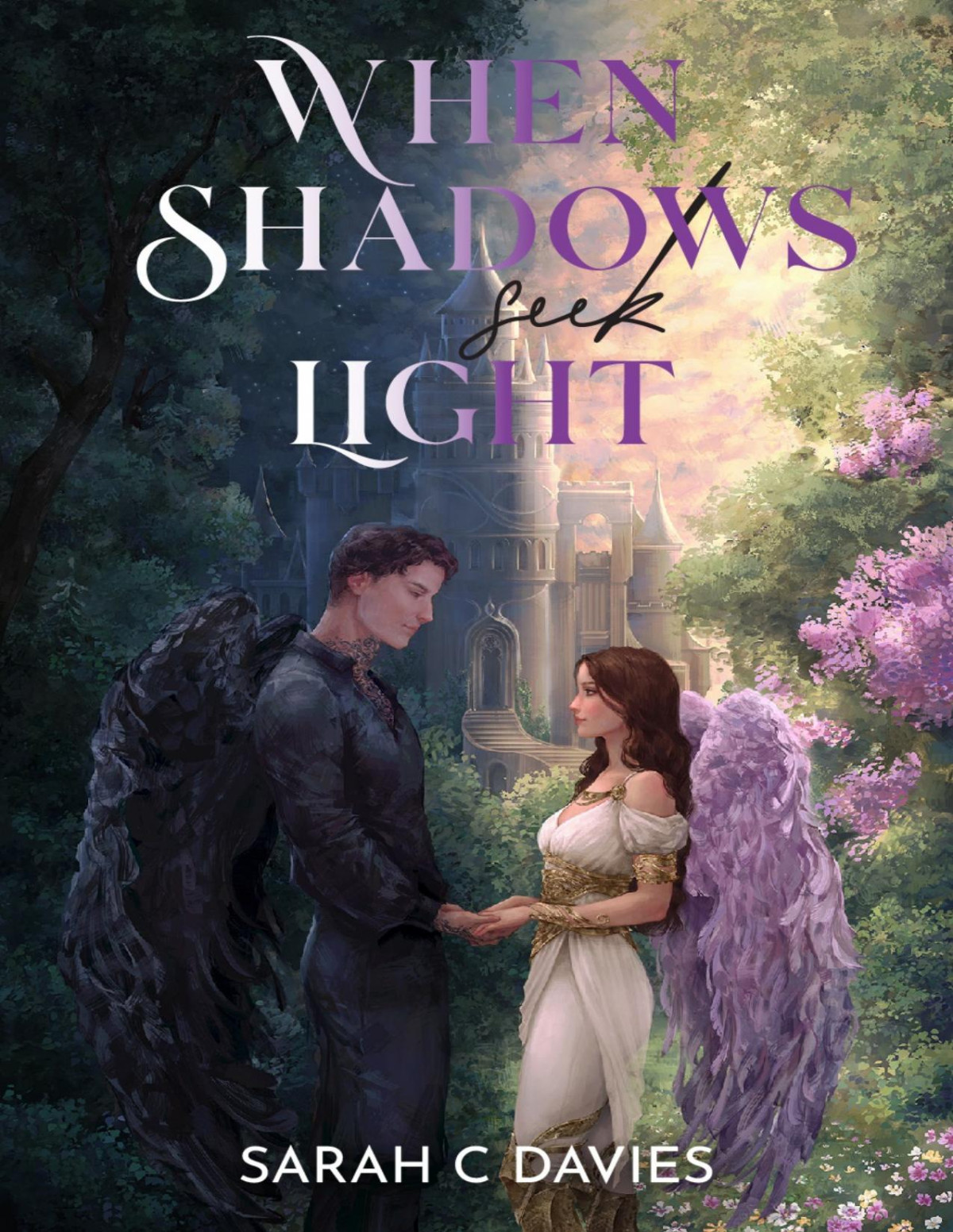 When Shadows Seek Light Sarah C Davies