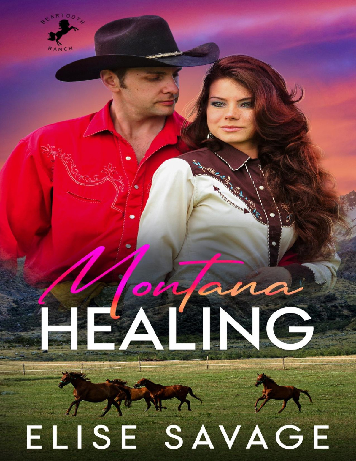 Montana Healing A Small Town Forced Proximity Romance Elise Savage