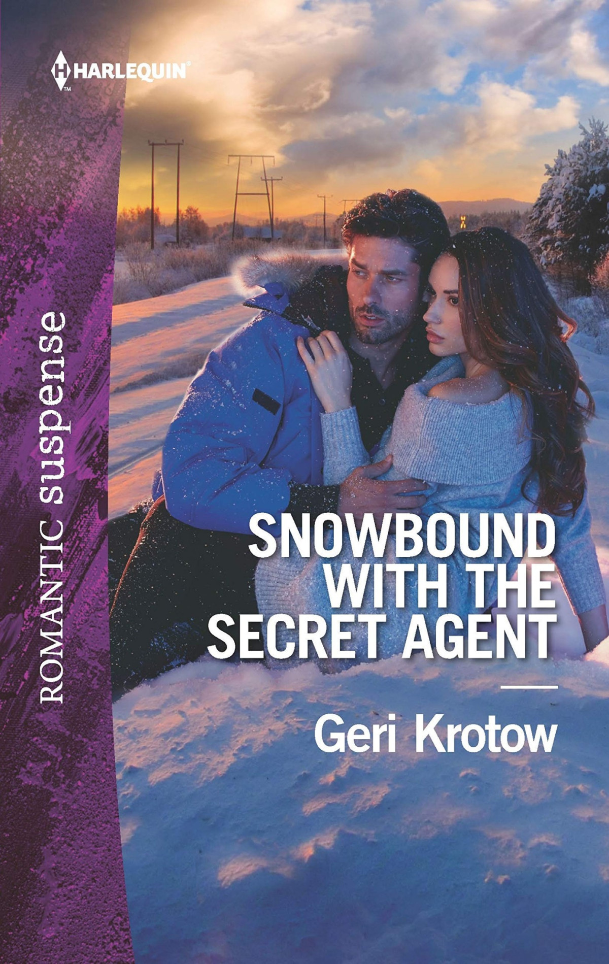 Snowbound With The Secret Agent Geri Krotow