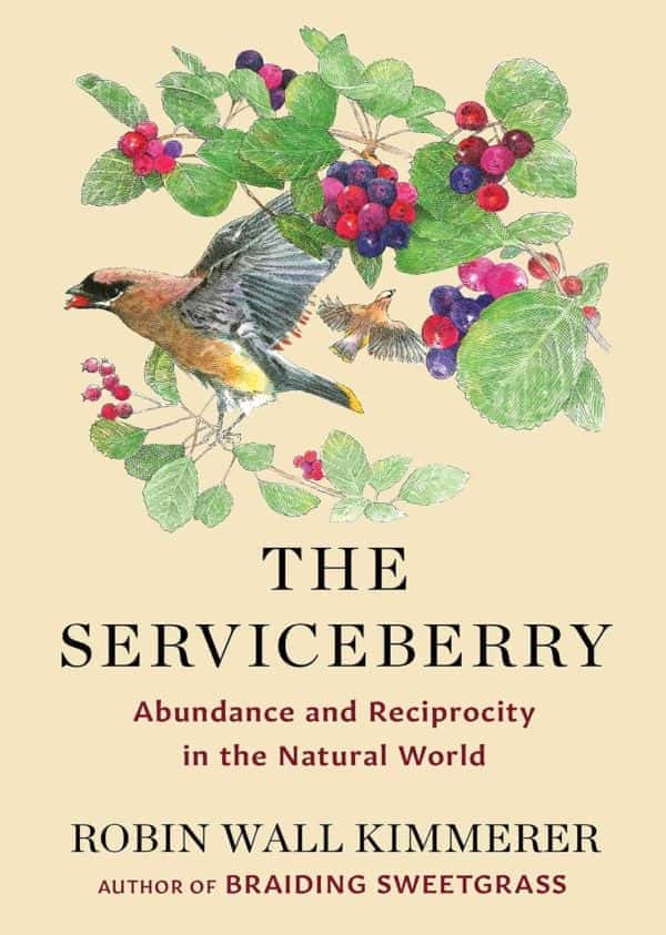 The Serviceberry Abundance And Reciprocity In The Natural World Robin Wall Kimmerer