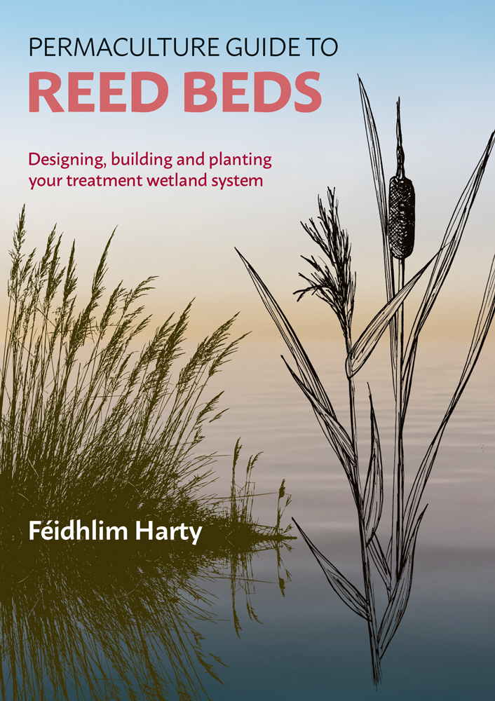Permaculture Guide To Reed Beds Designing Building And Planting Your Treatment Wetland System Feidhlim Harty