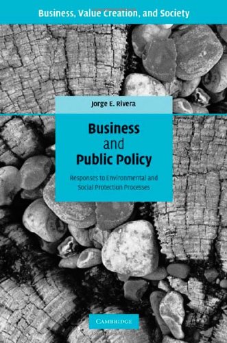 Business And Public Policy Responses To Environmental And Social Protection Processes Business Value Creation And Society 1st Edition Jorge E Rivera
