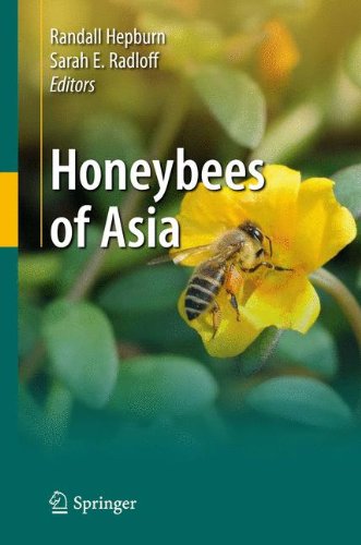 Honeybees Of Asia 1st Edition Sarah E Radloff H R Hepburn