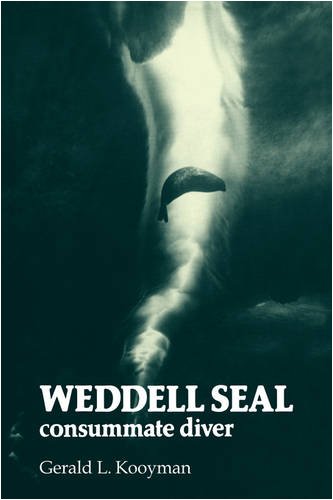 Weddell Seal Consummate Diver 1st Edition Gerald L Kooyman