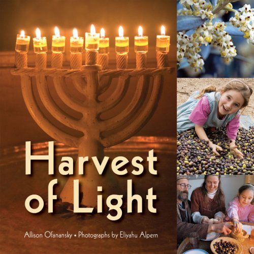 Harvest Of Light Hanukkah Allison Ofanansky
