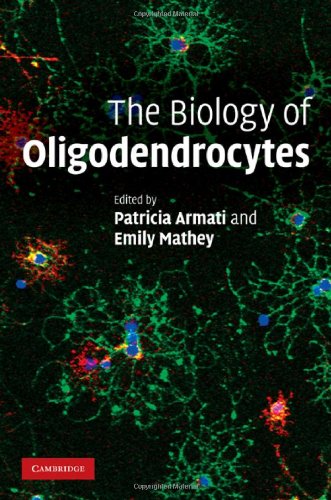 The Biology Of Oligodendrocytes 1st Edition Patricia Armati Emily Mathey