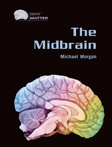 The Midbrain Gray Matter Michael Morgan
