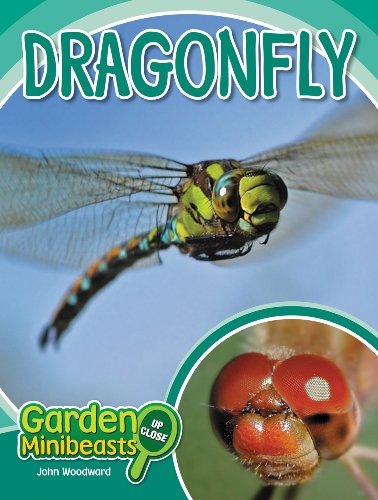 Dragonfly Garden Minibeasts Up Close 1st Edition John Woodward