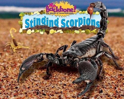 Stinging Scorpions No Backbone The World Of Invertebrates Natalie Lunis
