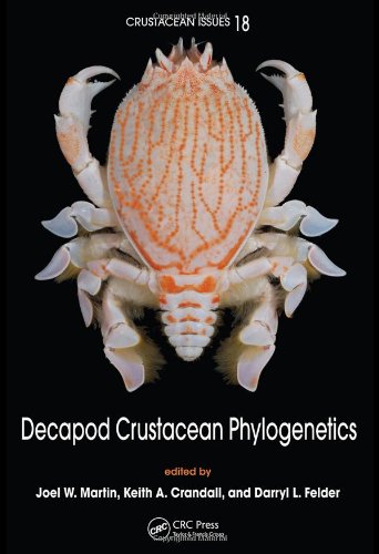 Decapod Crustacean Phylogenetics Crustacean Issues Joel W Martin