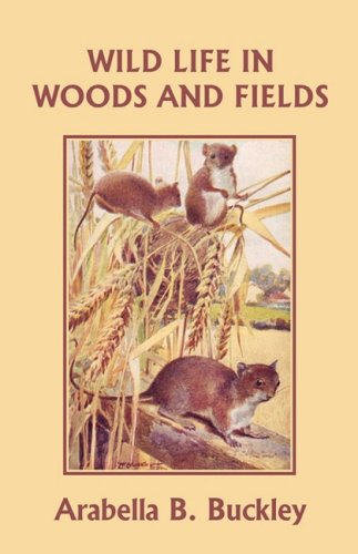 Eyes And No Eyes 01 Wild Life In Woods And Fields Arabella B Buckley