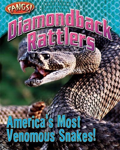 Diamondback Rattlers Americas Most Venomous Snakes Fangs Nancy White