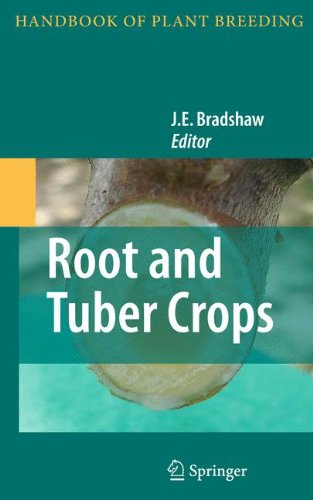 Root And Tuber Crops 1st Edition John E Bradshaw Merideth Bonierbale Auth