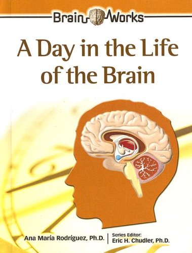 A Day In The Life Of The Brain Brain Works Ana Maria Rodriguez