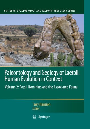 Paleontology And Geology Of Laetoli Human Evolution In Context Volume 2 Fossil Hominins And The Associated Fauna 1st Edition Terry Harrison Auth