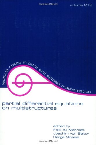 Partial Differential Equations On Multistructures 1st Edition Felix Ali Mehmeti