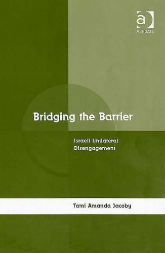Bridging The Barrier Tami Amanda Jacoby