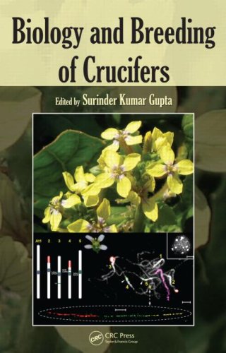 Biology And Breeding Of Crucifers 1st Edition Surinder Kumar Gupta