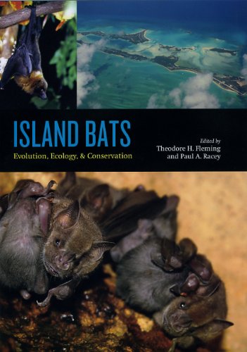 Island Bats Evolution Ecology And Conservation 1st Edition Theodore H Fleming