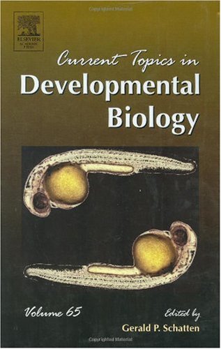 Current Topics In Developmental Biology 65 1st Edition Gerald P Schatten