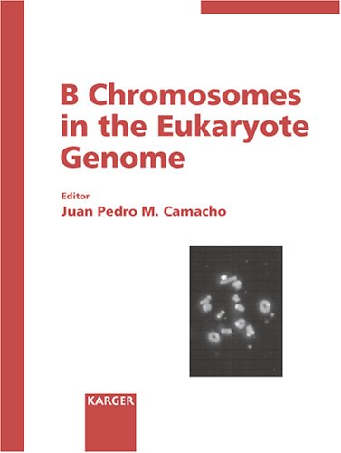B Chromosomes In The Eukaryote Genome Cytogenetic Genome Research Juan Pedro M Camacho