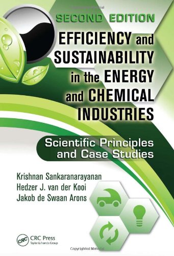 Efficiency And Sustainability In The Energy And Chemical Industries Scientific Principles And Case Studies Second Edition 2nd Edition Krishnan Sankaranarayanan