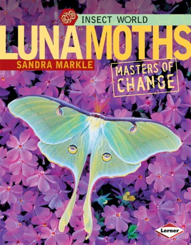 Luna Moths Masters Of Change Insect World Sandra Markle