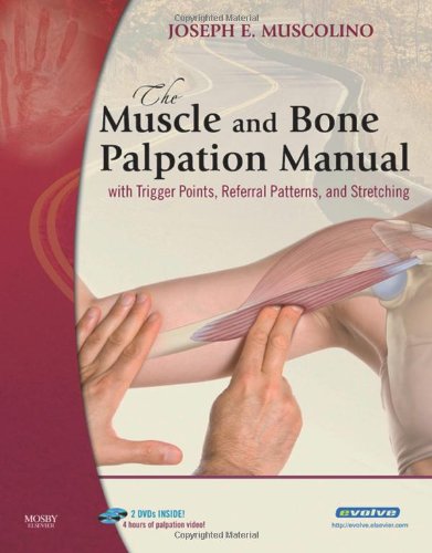The Muscle And Bone Palpation Manual With Trigger Points Referral Patterns And Stretching 1 Papdvd Joseph E Muscolino Dc