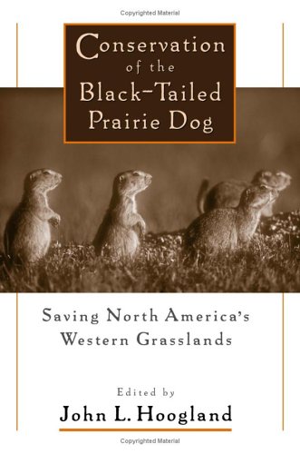 Conservation Of The Blacktailed Prairie Dog Saving North Americas Western Grasslands 1st Edition John Hoogland