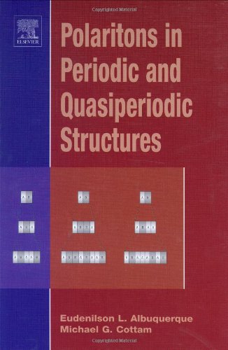 Polaritons In Periodic And Quasiperiodic Structures 1st Edition Eudenilson L Albuquerque