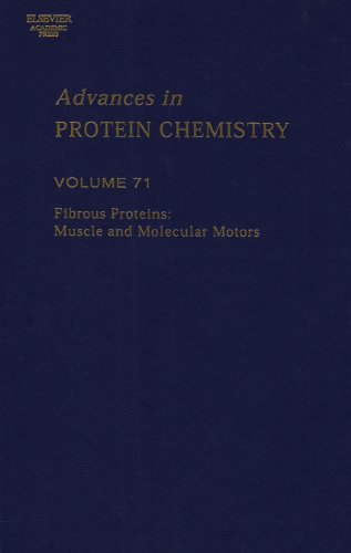 Fibrous Proteins Muscle And Molecular Motors John M Squire
