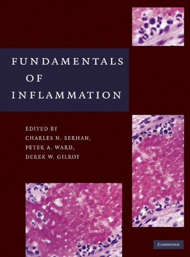 Fundamentals Of Inflammation 1st Edition Serhan Charles N Phd